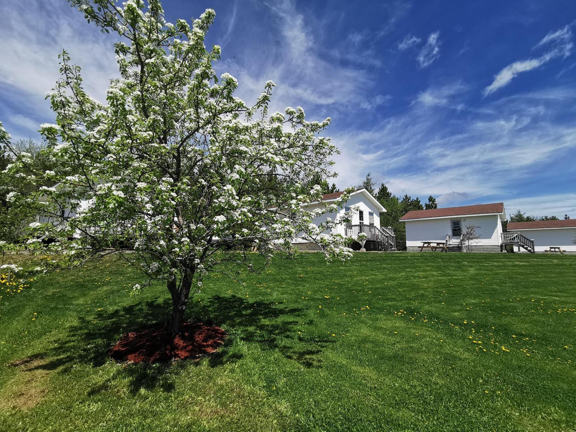 L'Ancrage B&B And Cottages Saint Louis de Kent Kültér fotó